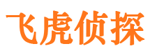 从江市侦探公司